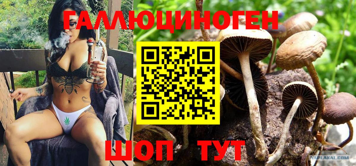 Галлюциногенные грибы MAGIC MUSHROOMS Гусь-Хрустальный